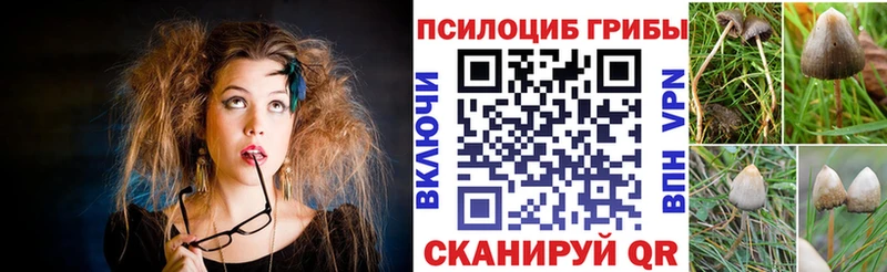 Галлюциногенные грибы Psilocybe Пошехонье