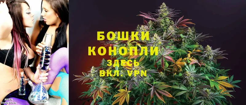 Шишки марихуана White Widow  blacksprut ссылки  Пошехонье 